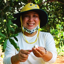 Quyen-macadamianuss-Dak-Lak250x250