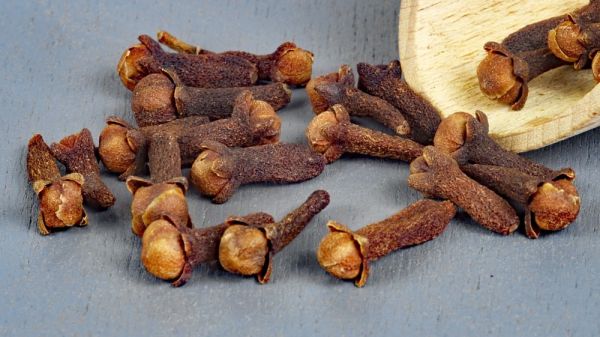 Rote Gewürznelken