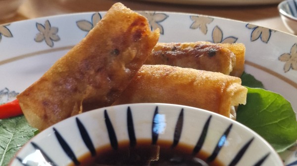 20250306_rezepte_vegane_fruhlingsrollen-01