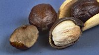Muskatnuss, Sri Lanka, naturbelassen in der Schale 30 g , ganz in der Schale