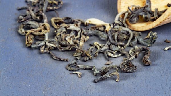 Wilder Grüner Tee "Shan Tuyet" aus den Bergen Nord-Vietnams