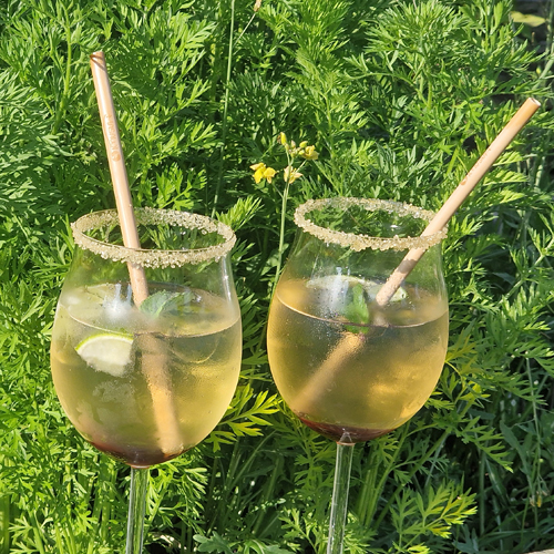 Cascara-Spritz