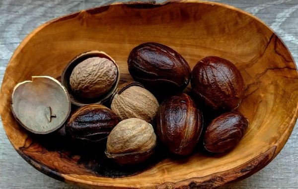 Muskatnuss, ganz in der Schale