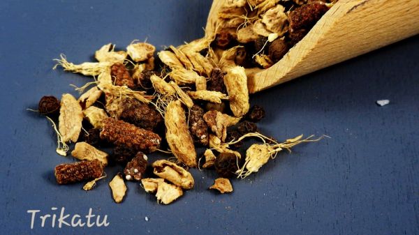 Trikatu-Masala ayurvedische Gewürzmischung