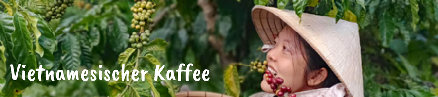 Vietnamesischer-Kaffee-Banner